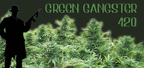 Green Gangster 420 Logo